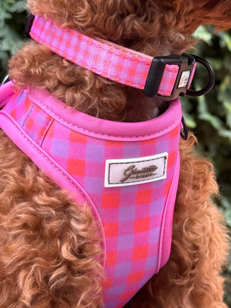 COLECCIÓN PINK LADY