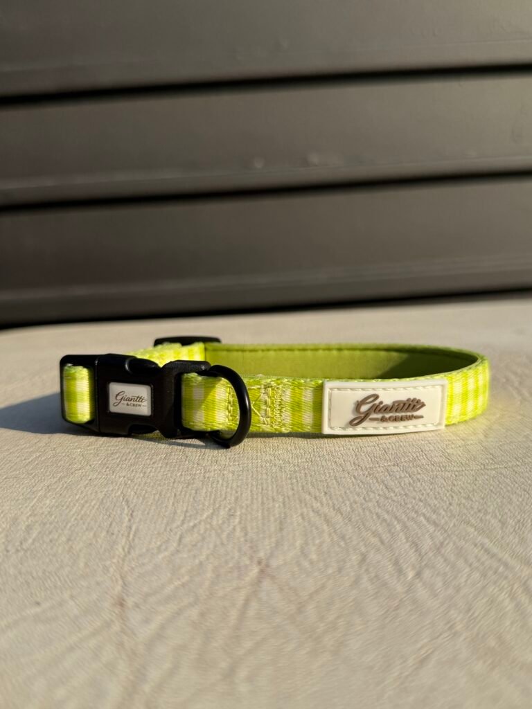 COLECCIÓN MOJITO